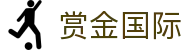 赏金国际 - 实现财富梦想与趣味竞猜的多元化平台